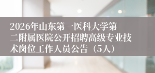 2026年山东第一医科大学第二附属医院公开招聘高级专业技术岗位工作人员公告(5人)