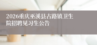 2026重庆巫溪县古路镇卫生院招聘见习生公告