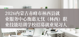 2026内蒙古赤峰市林西县就业服务中心衡惠无忧(林西)职业技能培训学校招募就业见习人员5人公告