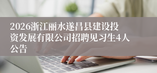 2026浙江丽水遂昌县建设投资发展有限公司招聘见习生4人公告