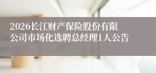 2026长江财产保险股份有限公司市场化选聘总经理1人公告