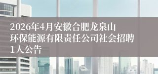 2026年4月安徽合肥龙泉山环保能源有限责任公司社会招聘1人公告
