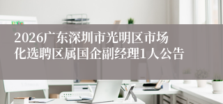 2026广东深圳市光明区市场化选聘区属国企副经理1人公告