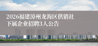2026福建漳州龙海区供销社下属企业招聘3人公告