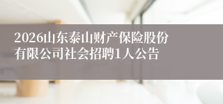 2026山东泰山财产保险股份有限公司社会招聘1人公告