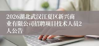2026湖北武汉江夏区新兴商业有限公司招聘项目技术人员2人公告