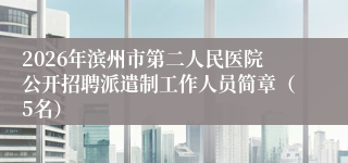 2026年滨州市第二人民医院公开招聘派遣制工作人员简章(5名)