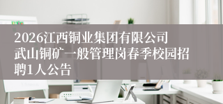 2026江西铜业集团有限公司武山铜矿一般管理岗春季校园招聘1人公告