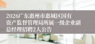 2026广东惠州市惠城区国有资产监督管理局所属一级企业副总经理招聘2人公告