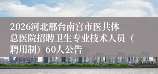 2026河北邢台南宫市医共体总医院招聘卫生专业技术人员(聘用制)60人公告