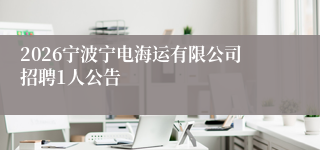 2026宁波宁电海运有限公司招聘1人公告