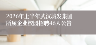 2026年上半年武汉城发集团所属企业校园招聘46人公告