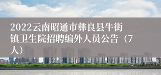 2022云南昭通市彝良县牛街镇卫生院招聘编外人员公告（7人）