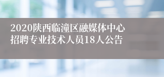 2020陕西临潼区融媒体中心招聘专业技术人员18人公告