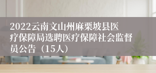 2022云南文山州麻栗坡县医疗保障局选聘医疗保障社会监督员公告（15人）