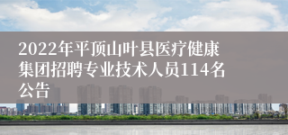 2022年平顶山叶县医疗健康集团招聘专业技术人员114名公告