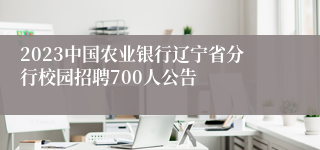 2023中国农业银行辽宁省分行校园招聘700人公告