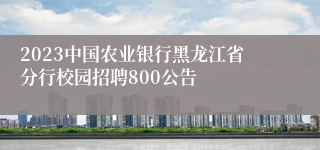 2023中国农业银行黑龙江省分行校园招聘800公告