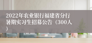 2022年农业银行福建省分行暑期实习生招募公告（300人）
