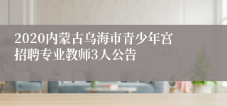 2020内蒙古乌海市青少年宫招聘专业教师3人公告