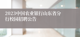 2023中国农业银行山东省分行校园招聘公告