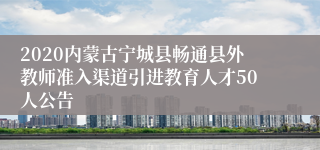 2020内蒙古宁城县畅通县外教师准入渠道引进教育人才50人公告