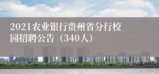 2021农业银行贵州省分行校园招聘公告（340人）