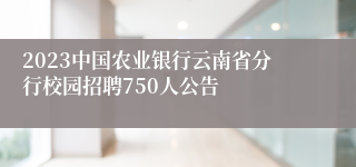 2023中国农业银行云南省分行校园招聘750人公告