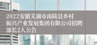2022安徽芜湖市南陵县乡村振兴产业发展集团有限公司招聘部长2人公告