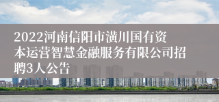 2022河南信阳市潢川国有资本运营智慧金融服务有限公司招聘3人公告