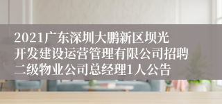 2021广东深圳大鹏新区坝光开发建设运营管理有限公司招聘二级物业公司总经理1人公告