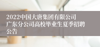 2022中国大唐集团有限公司广东分公司高校毕业生夏季招聘公告