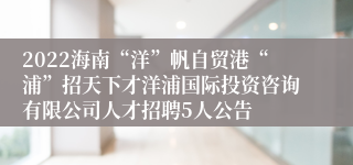 2022海南“洋”帆自贸港“浦”招天下才洋浦国际投资咨询有限公司人才招聘5人公告