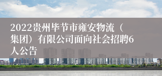 2022贵州毕节市雍安物流（集团）有限公司面向社会招聘6人公告
