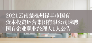 2021云南楚雄州禄丰市国有资本投资运营集团有限公司选聘国有企业职业经理人1人公告