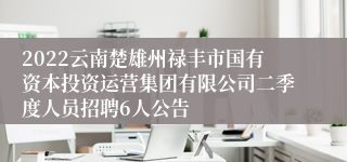 2022云南楚雄州禄丰市国有资本投资运营集团有限公司二季度人员招聘6人公告