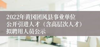 2022年黄冈团风县事业单位公开引进人才（含高层次人才）拟聘用人员公示
