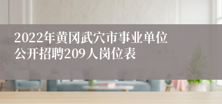 2022年黄冈武穴市事业单位公开招聘209人岗位表