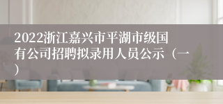 2022浙江嘉兴市平湖市级国有公司招聘拟录用人员公示（一）