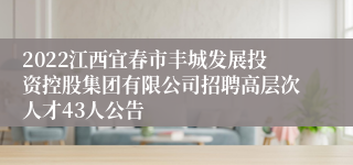 2022江西宜春市丰城发展投资控股集团有限公司招聘高层次人才43人公告