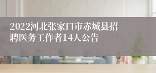 2022河北张家口市赤城县招聘医务工作者14人公告